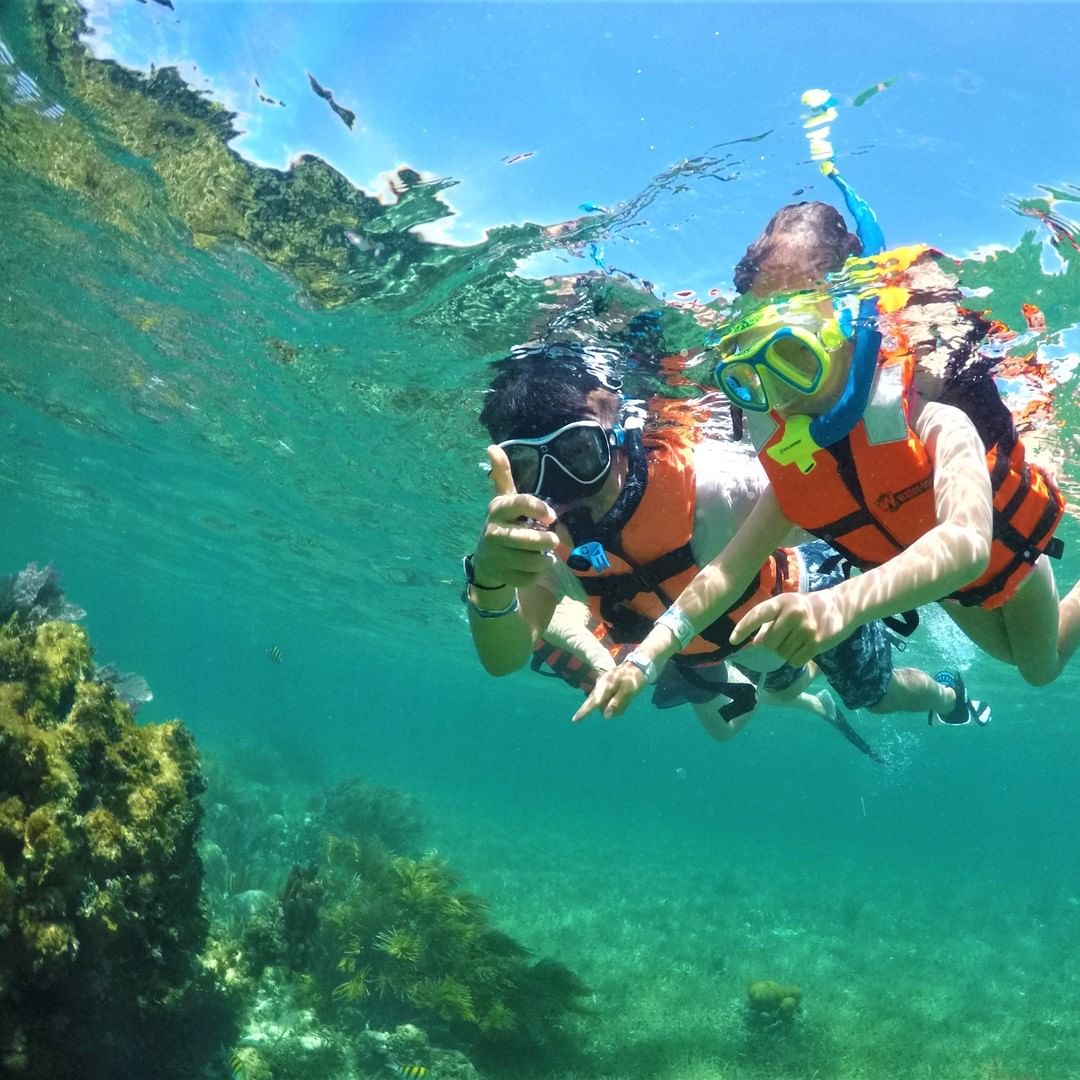 Snorkeling en famille à Saona avec Coral Point Diving