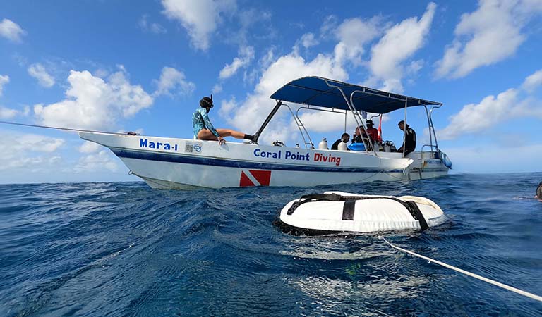 Private diving and boat charters in Bayahibe with Coral Point Diving