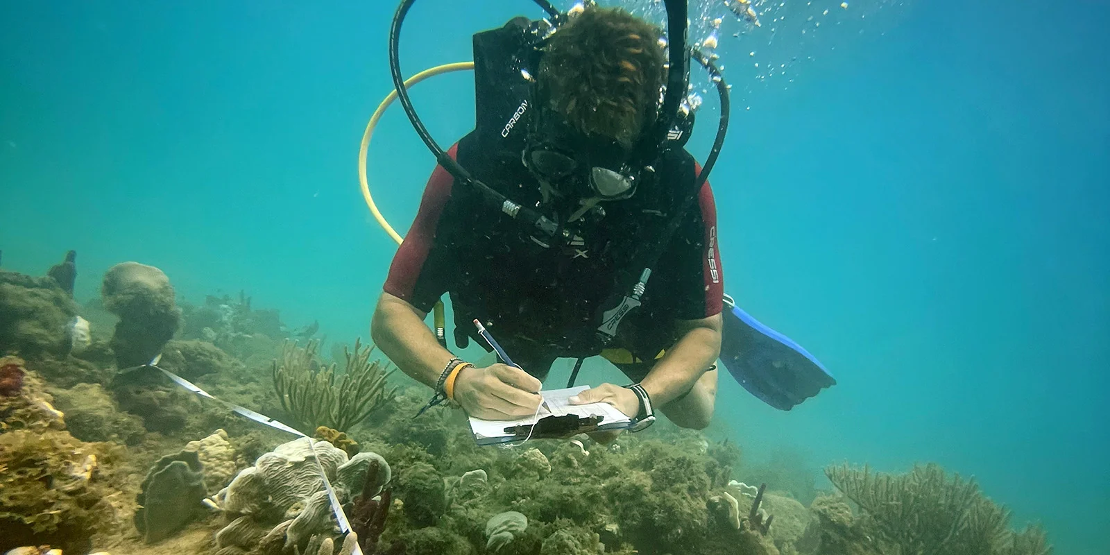 Work in Bayahibe