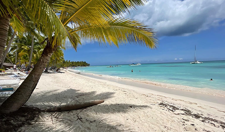 Turtle and marine life in Bayahibe